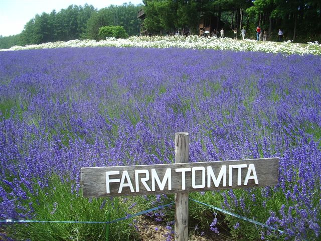 photo of Farm Tomita
