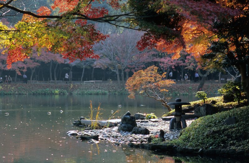 photo of Koishikawa Korakuen Garden