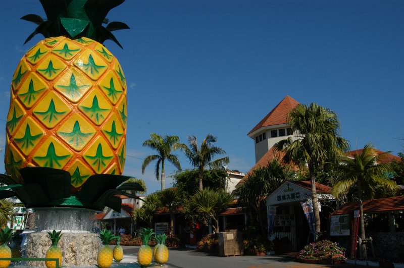 photo of Nago Pineapple Park