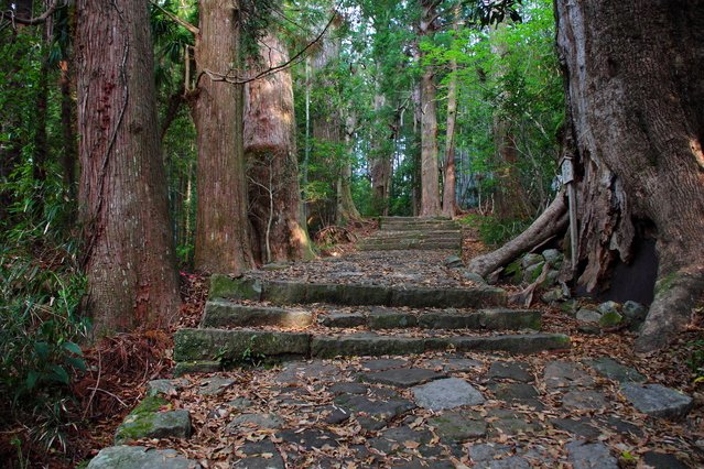 Japan Cruise Tours
