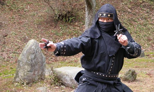 Ninja