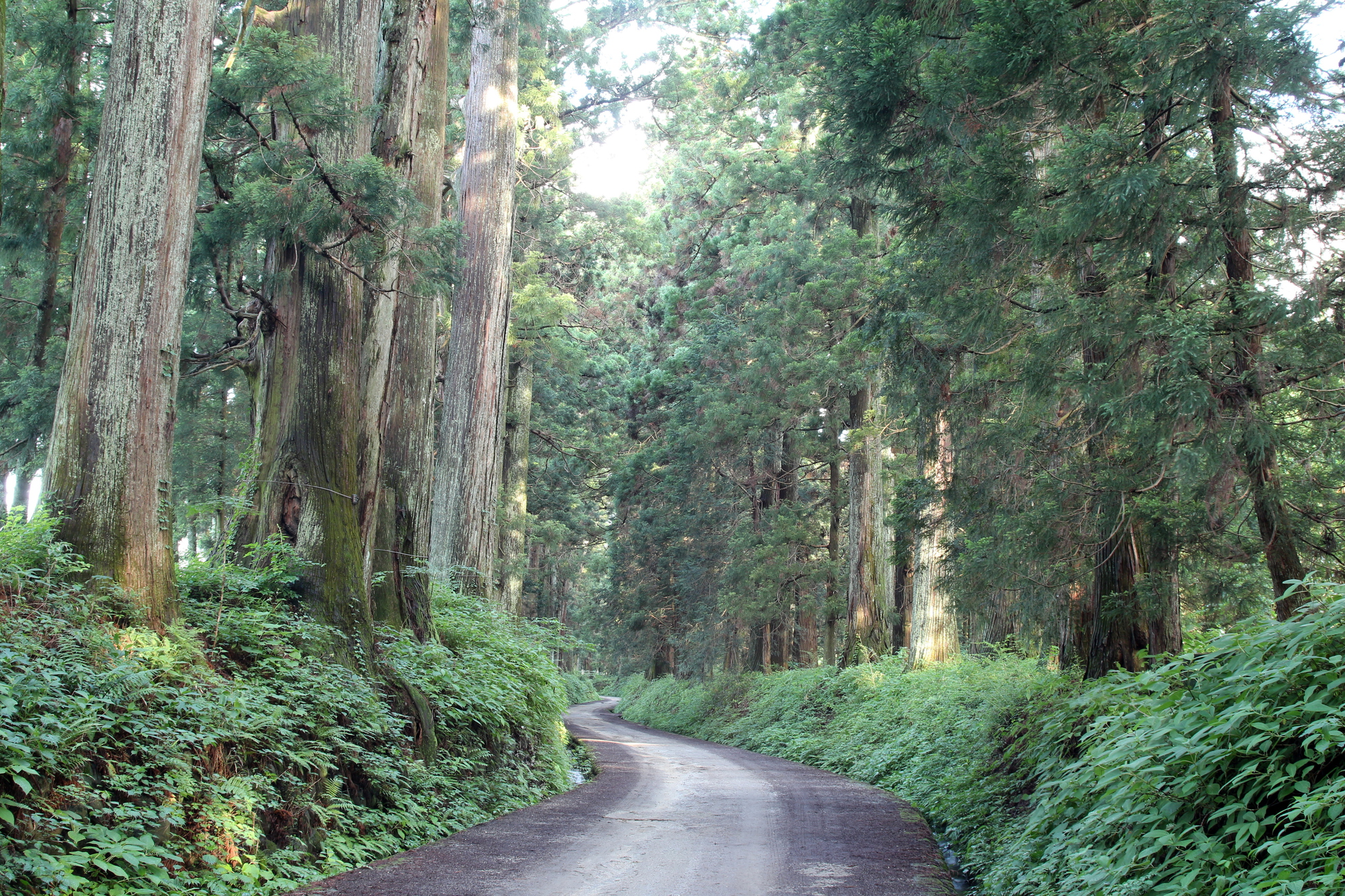 photo of Nikko Pilgrimage