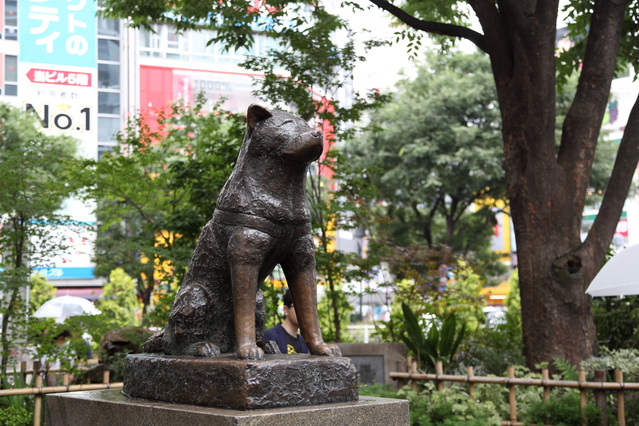 Shibuya