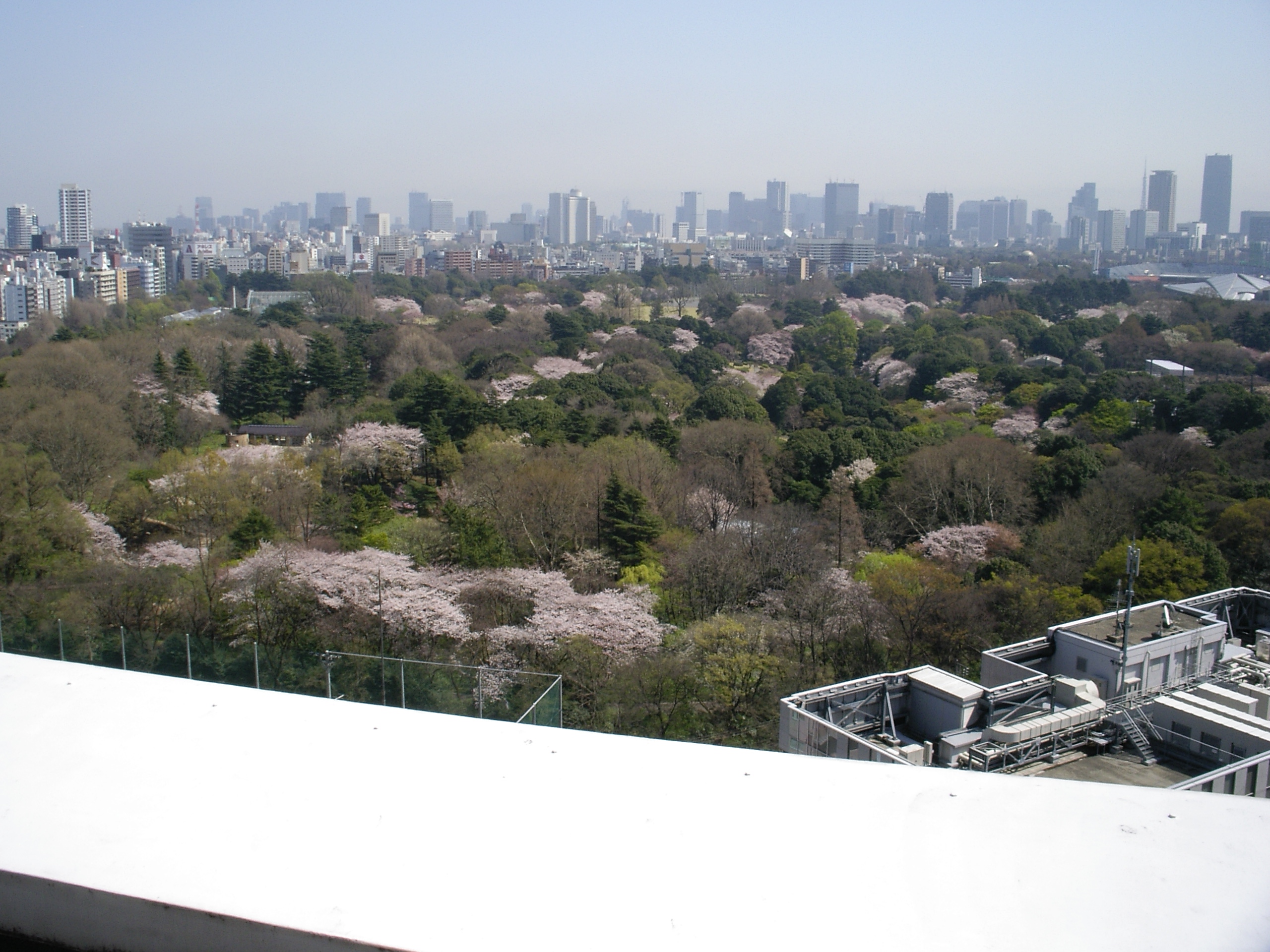 Shinjuku Gyoen National Garden