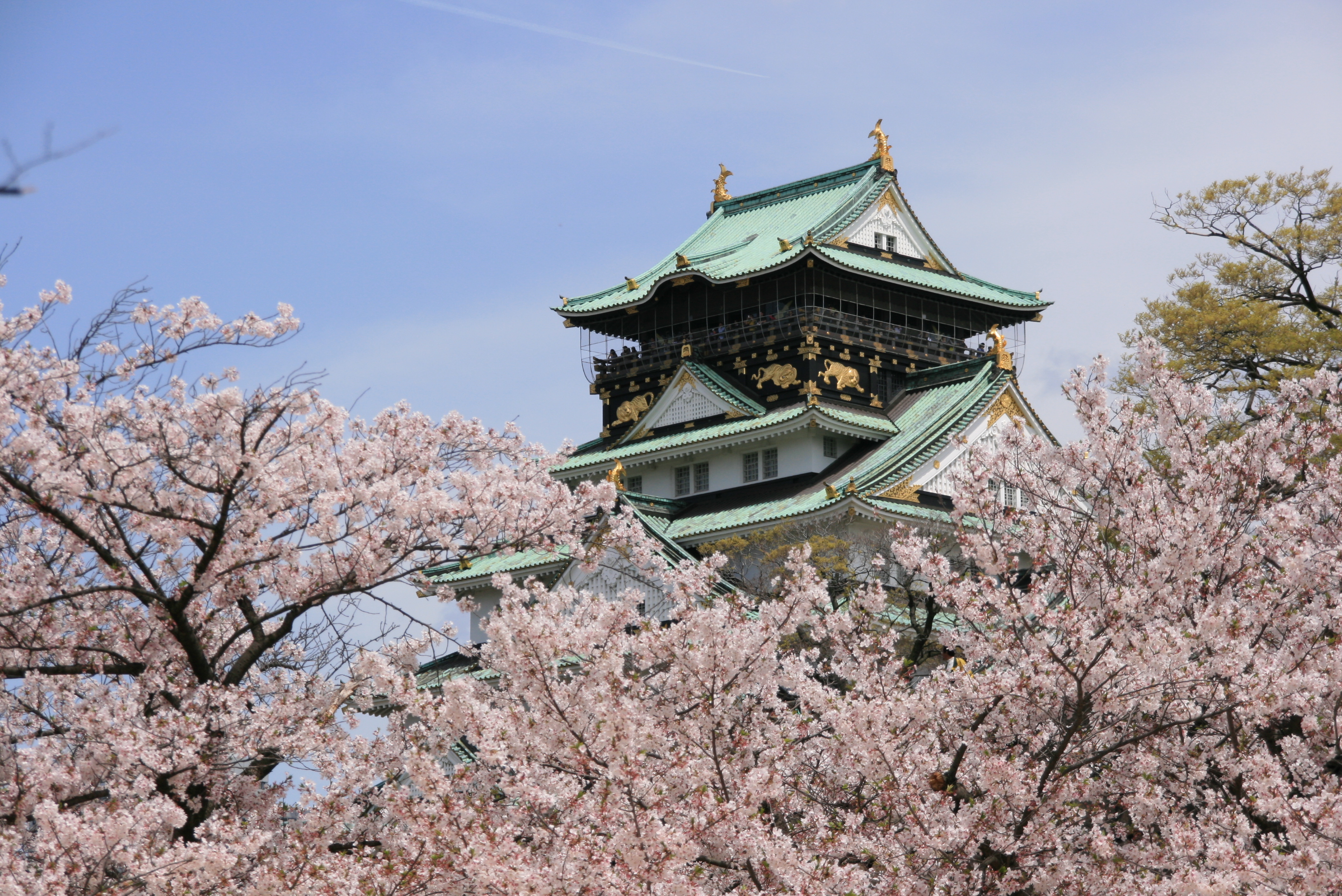 Osaka Castle