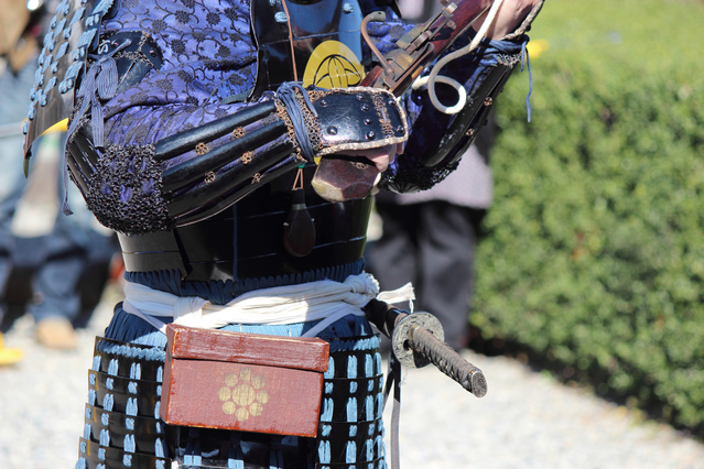 Samurai and Ninja Experience