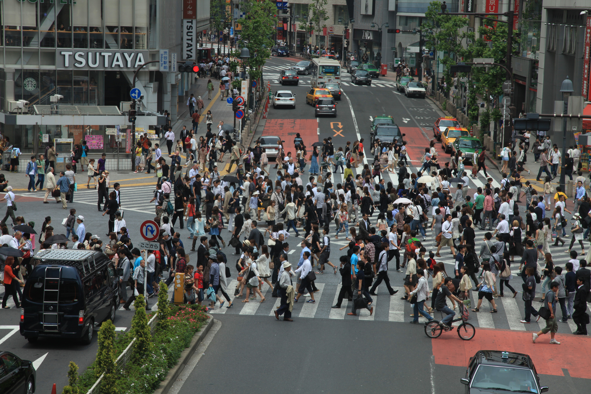 Shibuya Crossing
