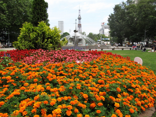 photo of Odori Park