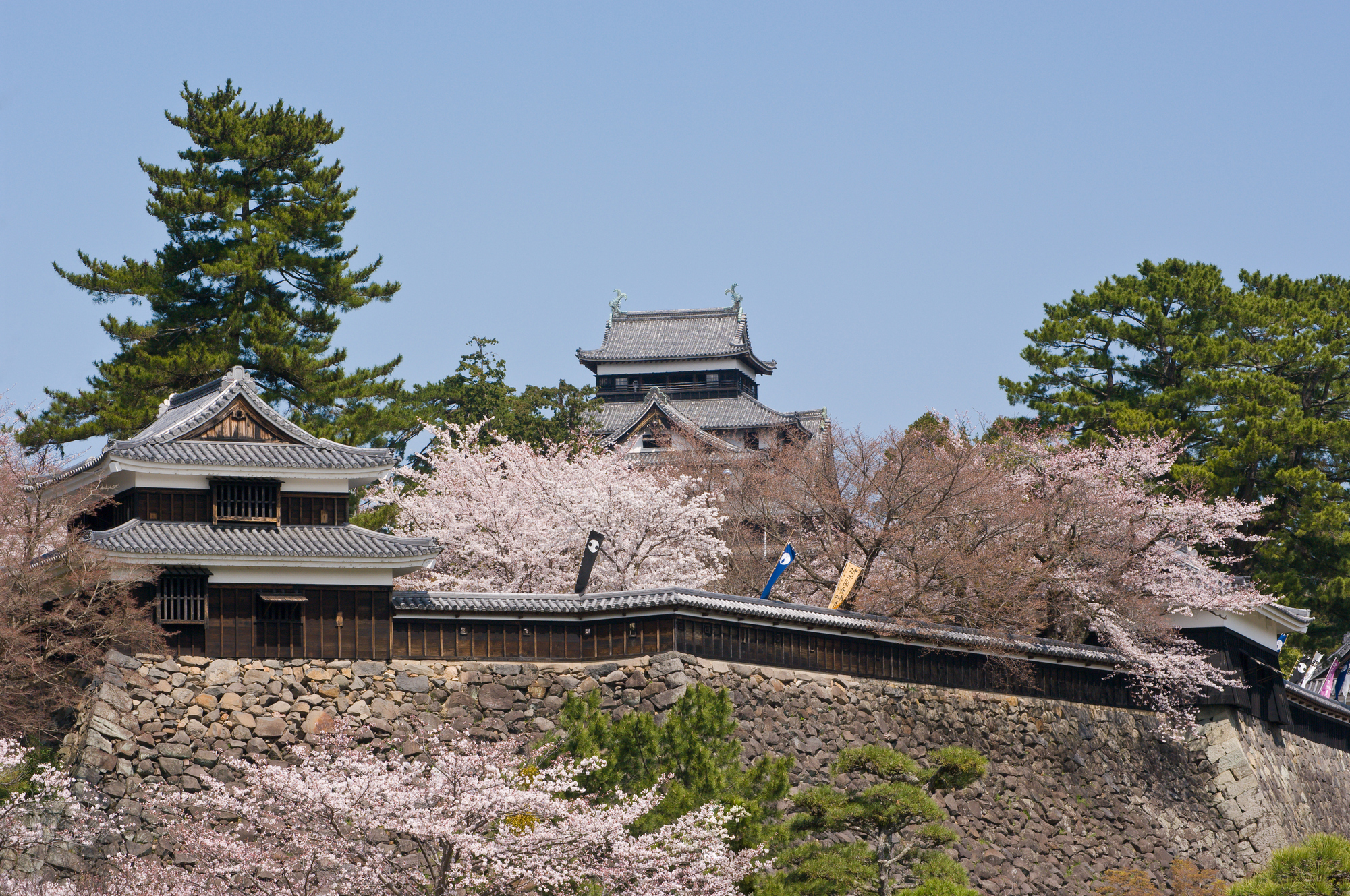 photo of Matsue Castle