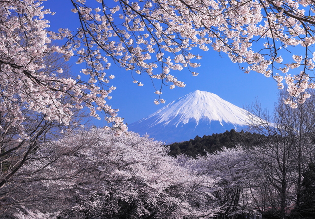 5th station of Mt. Fuji