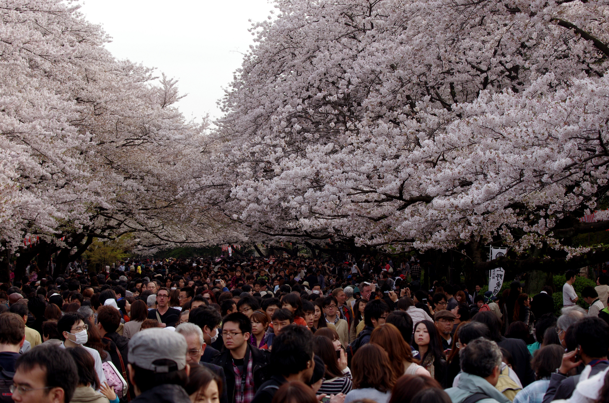Ueno Park
