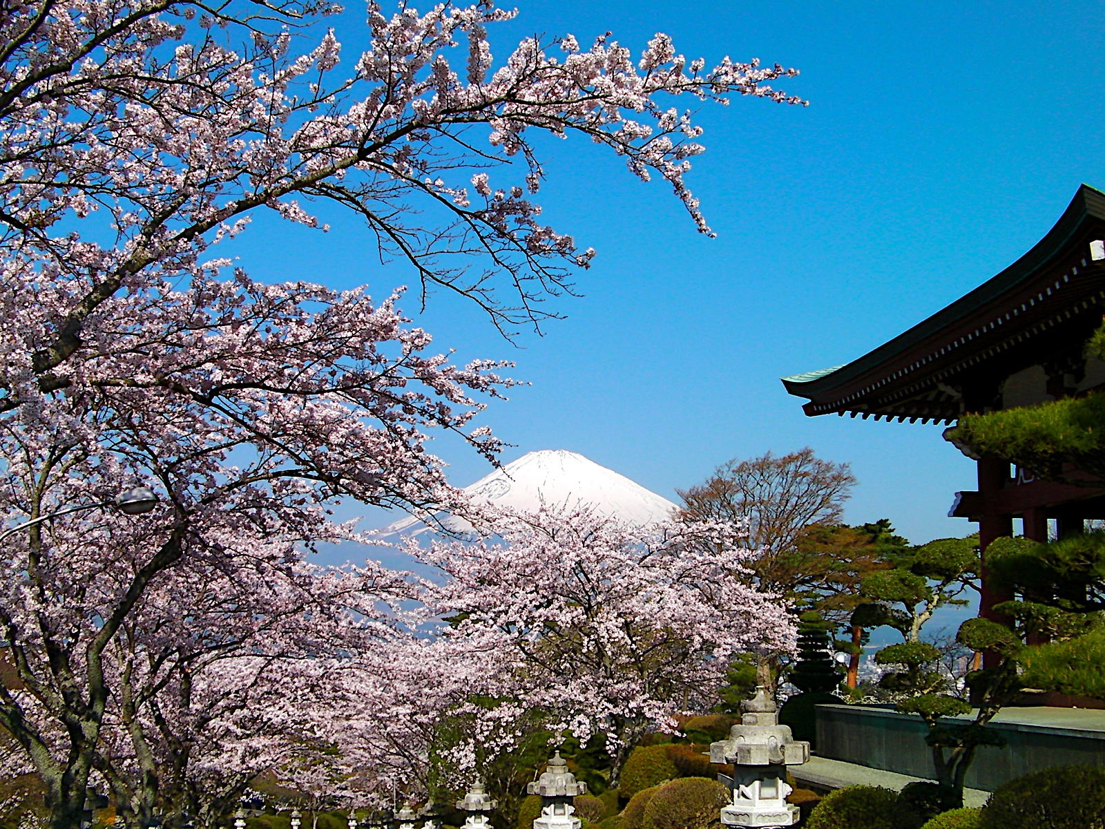 photo of Gotemba Peace Park