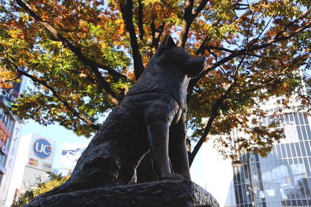Hachiko Statue