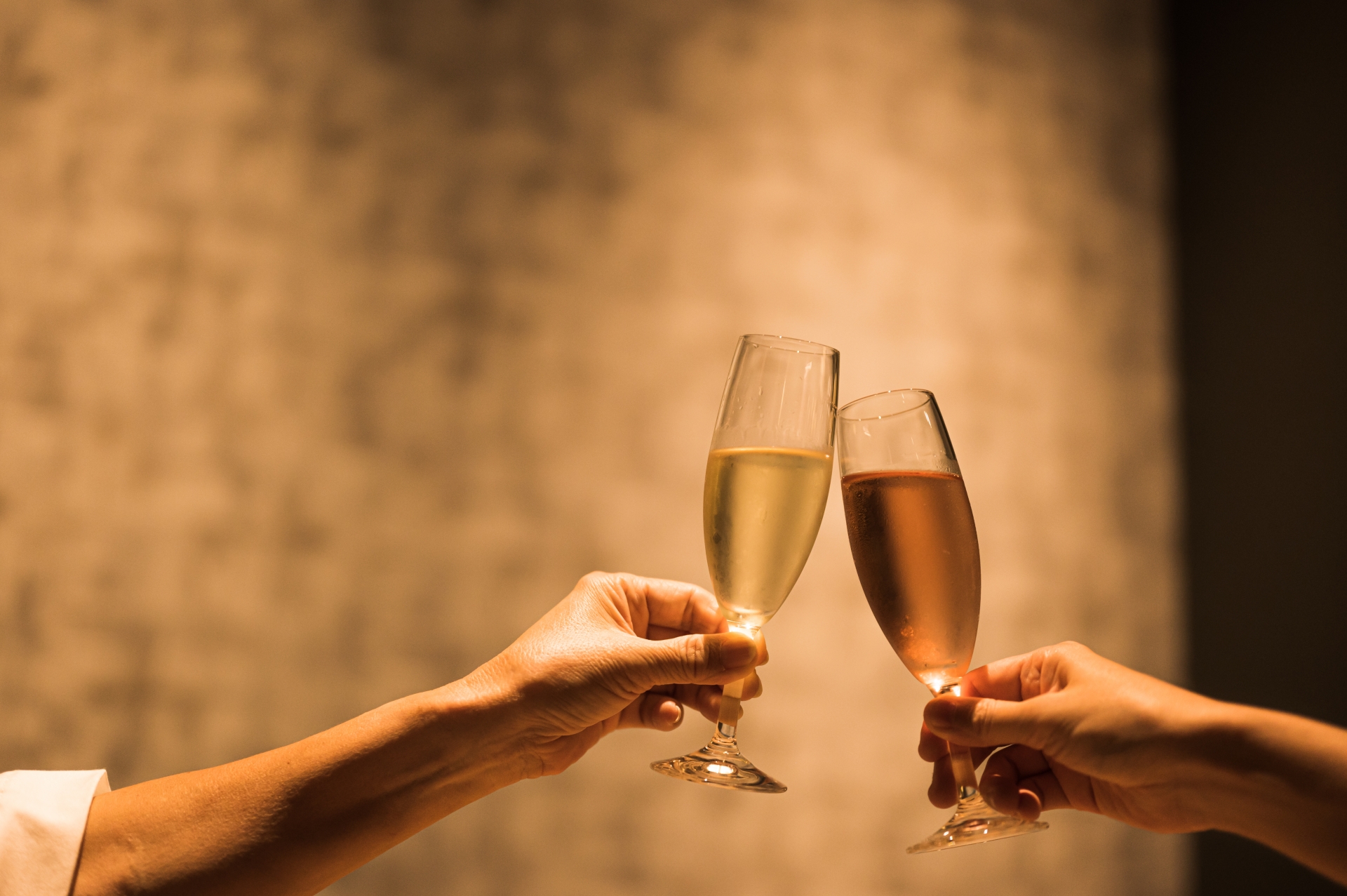 Katashimo Winery Tour – Wine Tasting