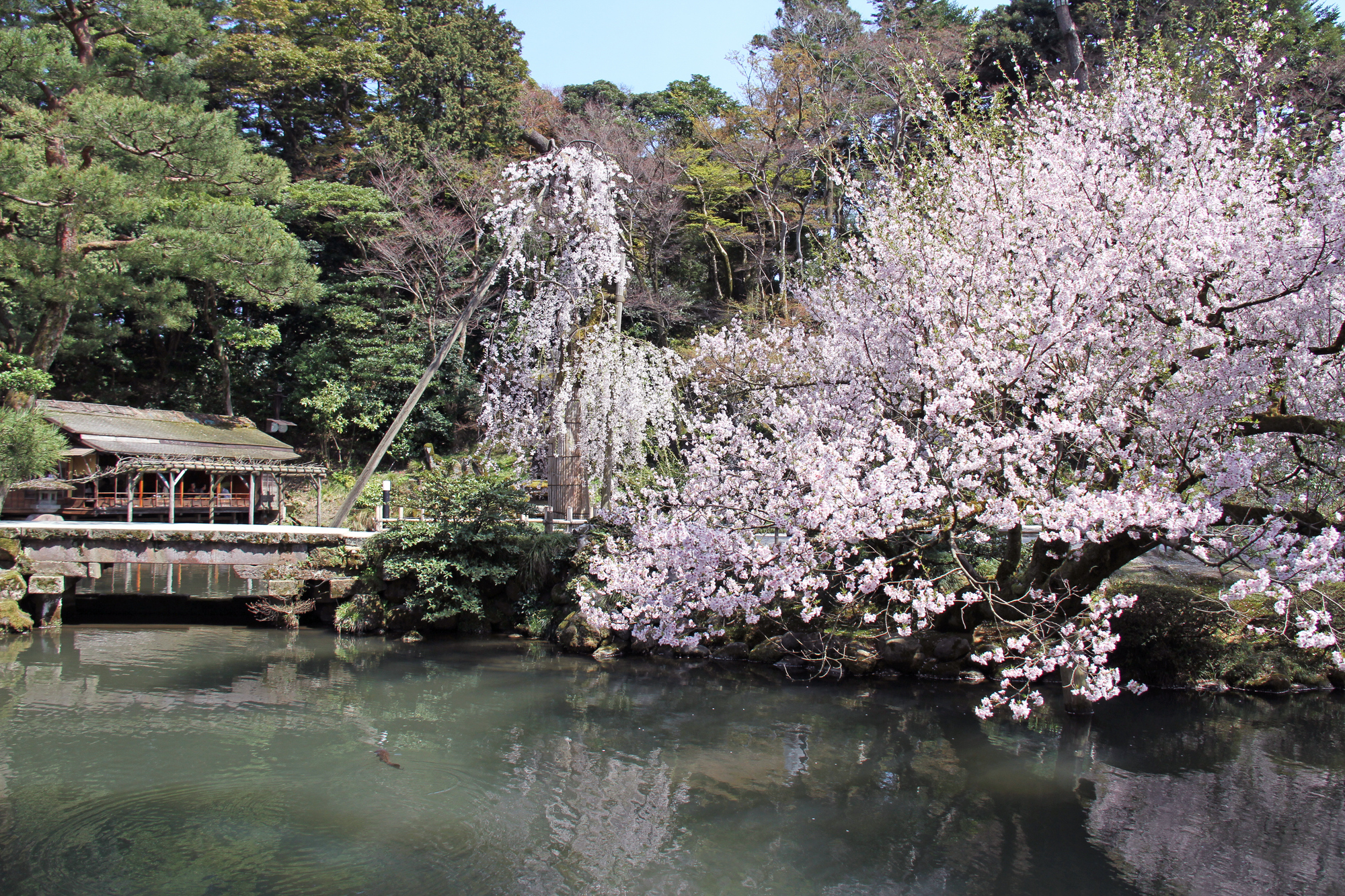 photo of Kenrokuen Garden