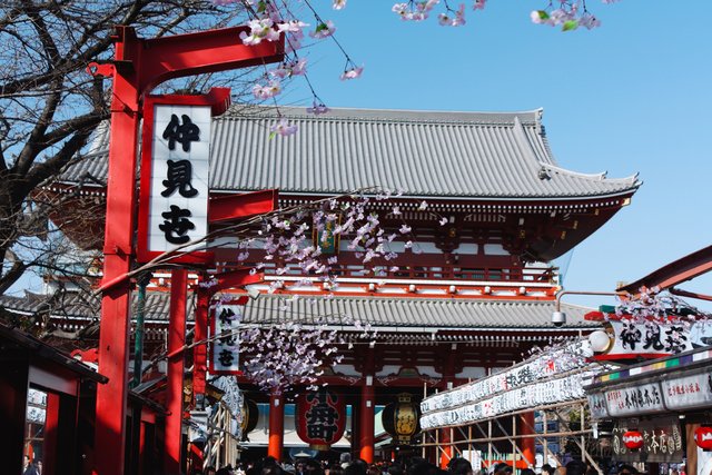 Japan Cruise Tours