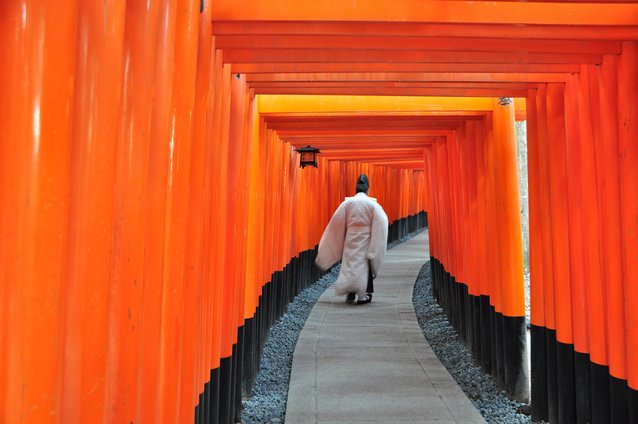 Japan Cruise Tours