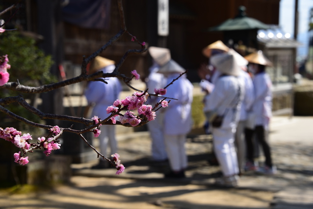 Japan Cruise Tours