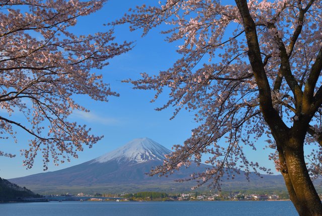 Japan Cruise Tours