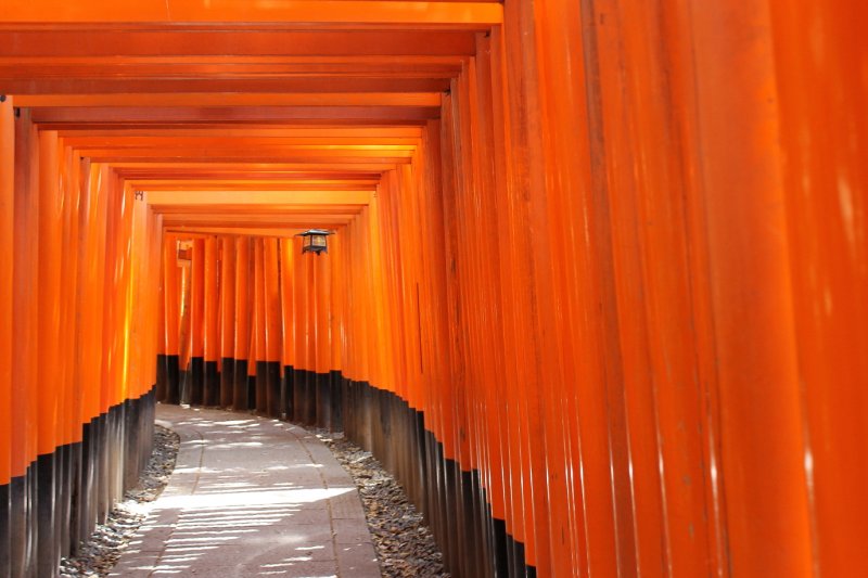 Japan Cruise Tours