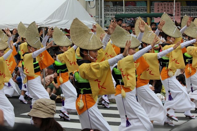 Japan Cruise Tours