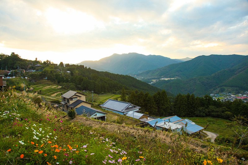 Japan Cruise Tours