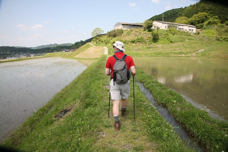 Japan Cruise Tours