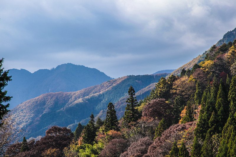Japan Cruise Tours