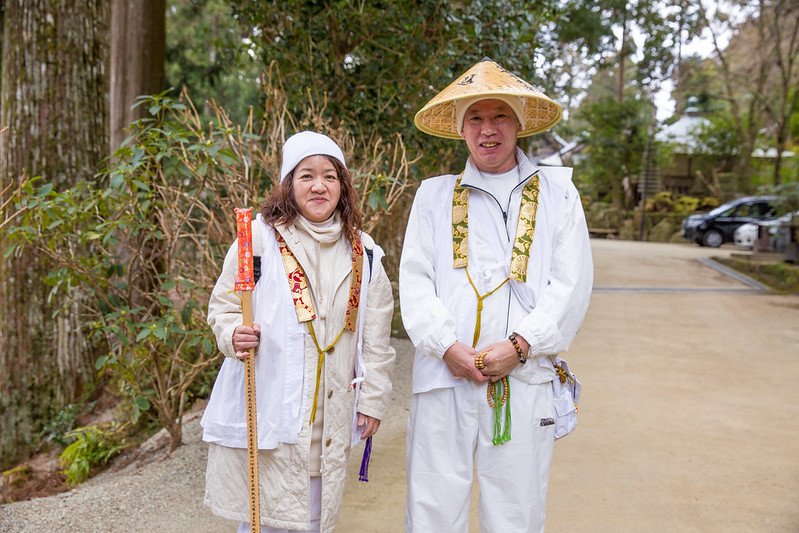Japan Cruise Tours