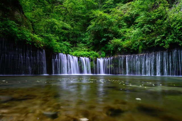Japan Cruise Tours