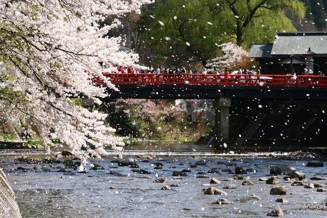 Japan Cruise Tours