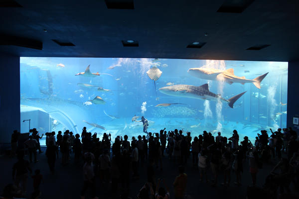 Japan Cruise Tours