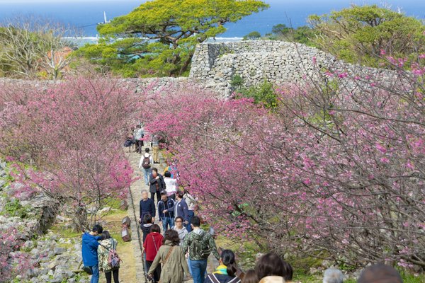 Japan Cruise Tours