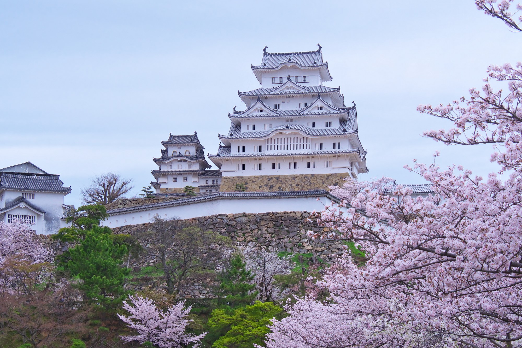 Japan Cruise Tours