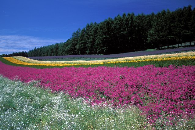 top photo destination in japan Hokkaido