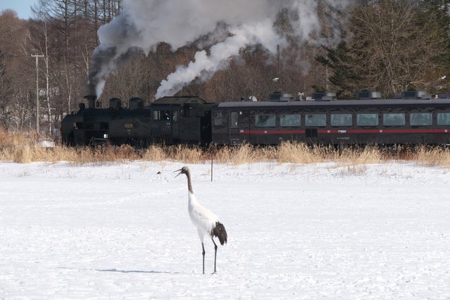 top photo destination in japan Hokkaido