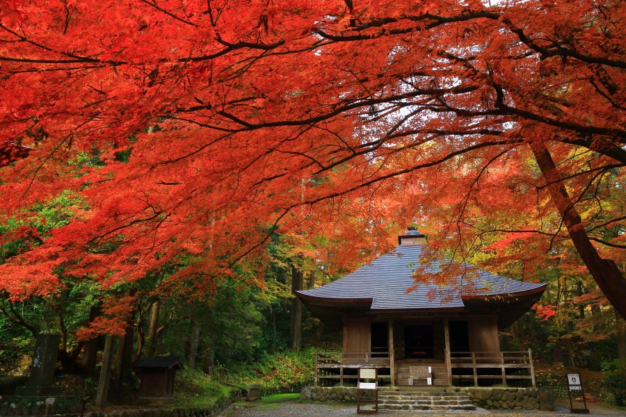 top photo destination in japan Tohoku