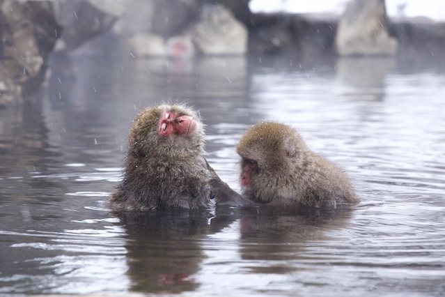 top photo destination in japan Chubu