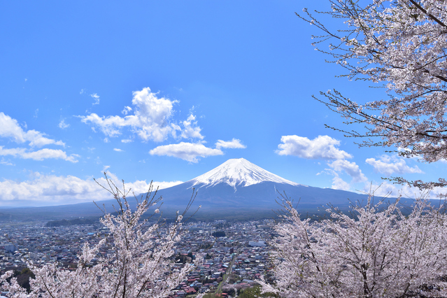 Mt Fuji