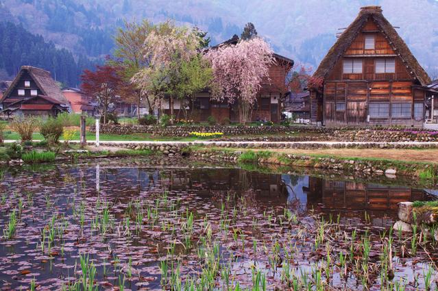 Shirakawa-go