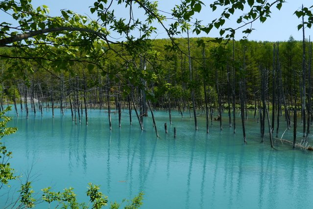 Blue Pond