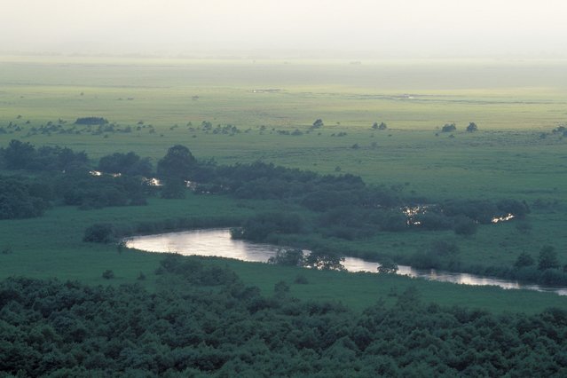Kushiro Marshlands