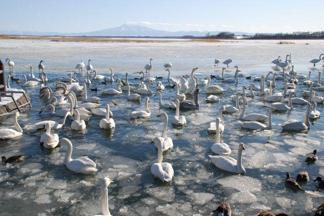 Lake Tofutsu