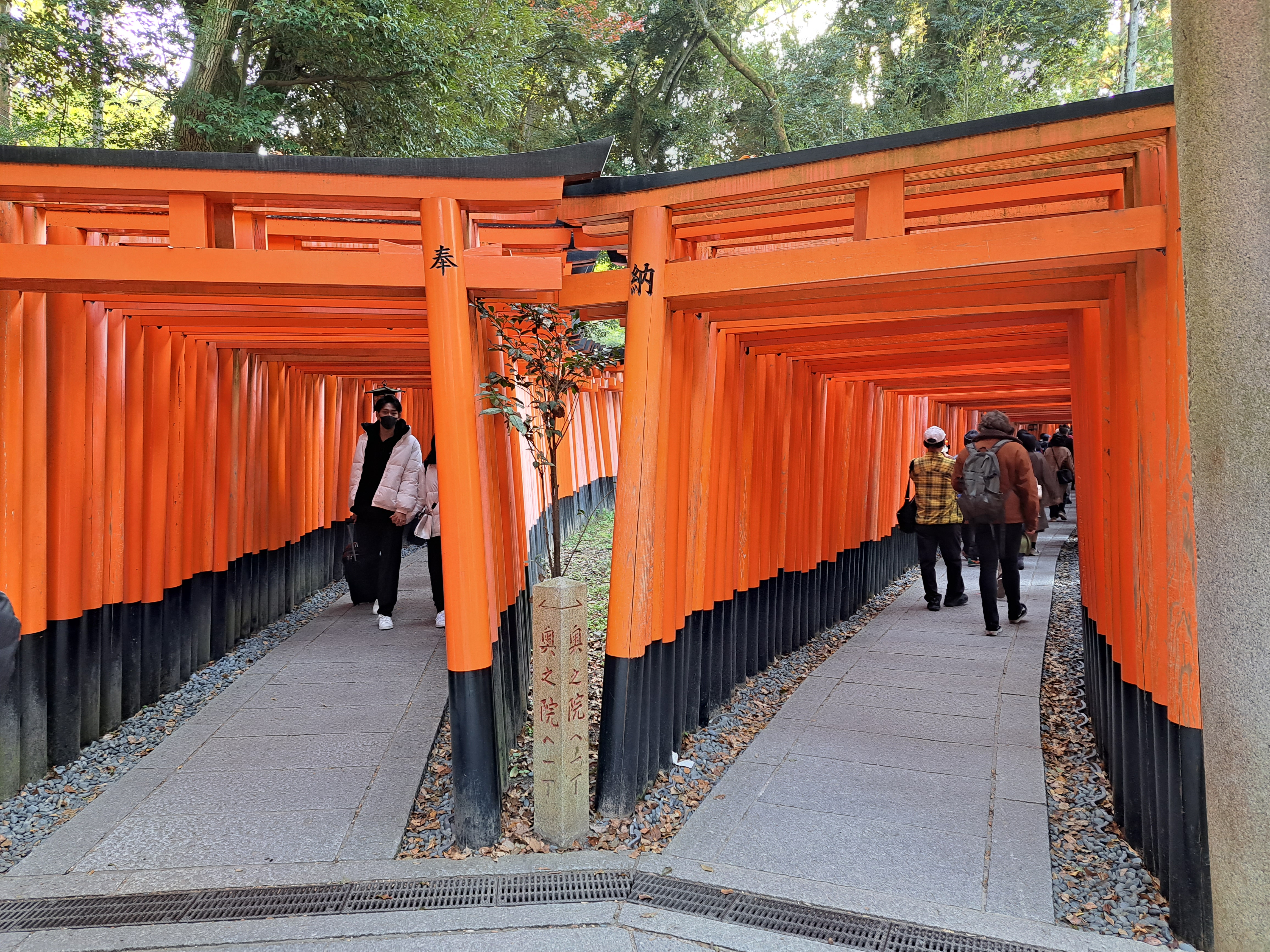 Fushimi Inari Shrine