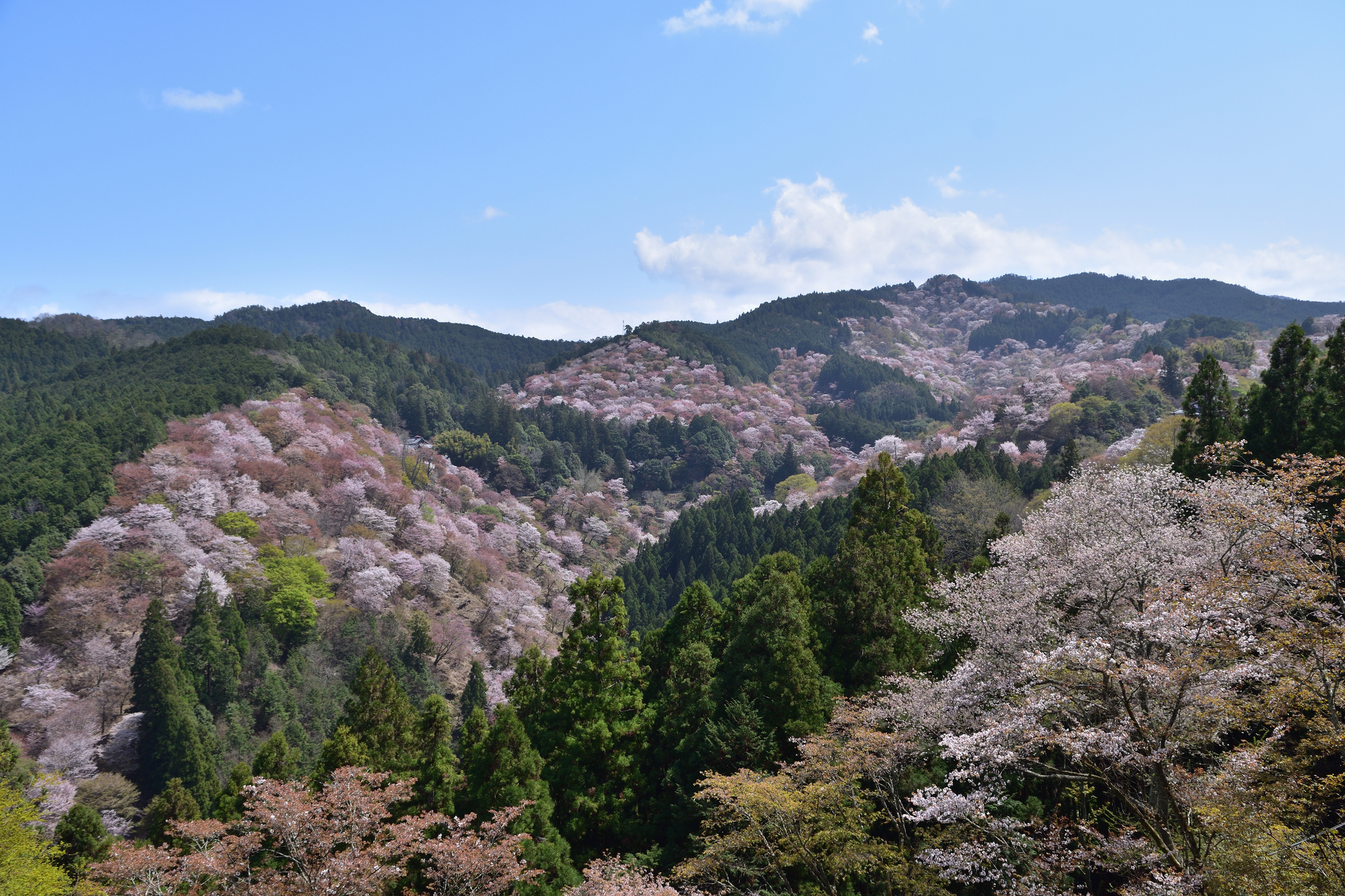 Mt Yoshino