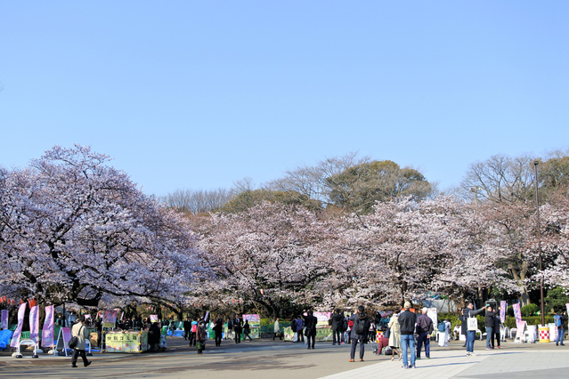 Ueno Park