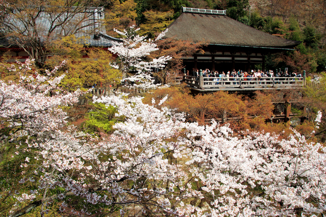 Kiyomizu Temple