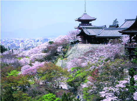 Kiyomizu Temple
