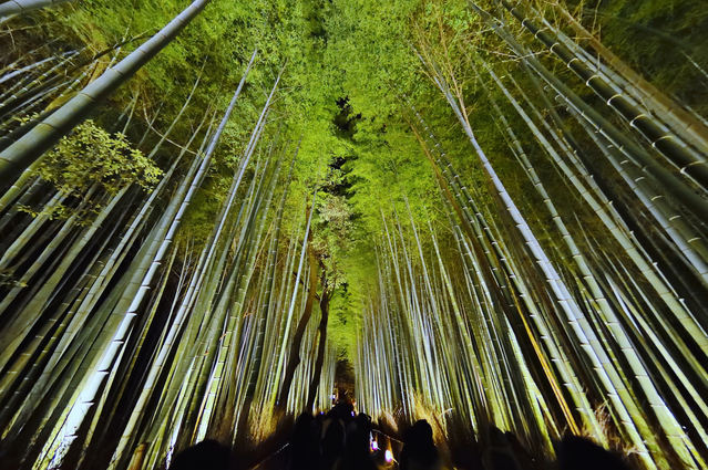 Arashiyama