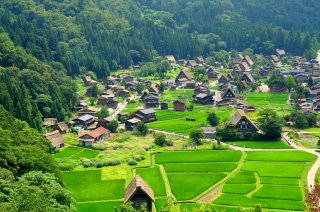 Signature: Classic Japan - Takayama Autumn 
Festival 
Tour